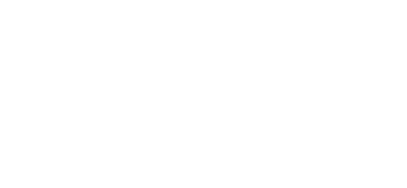 Singular BIM